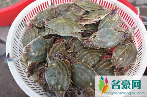 网上买梭子蟹为什么都是冷冻的2
