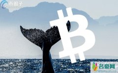 比特币鲸鱼账户是什么意思？币圈术语解释