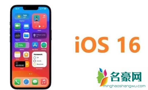 ios16抠图可以放到哪里3
