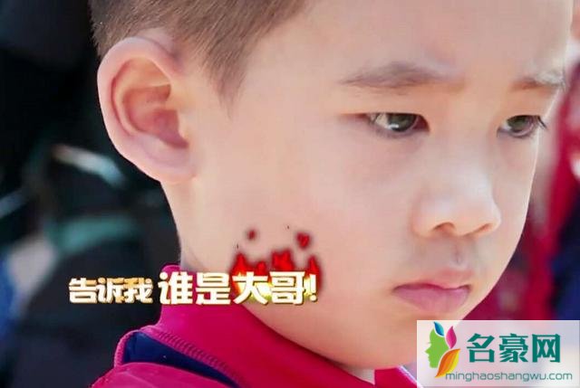 《爸爸去哪儿5》大哥之争 小小春Jasper和嗯哼年龄谁大