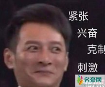 维嘉回应表情包说了什么？李维嘉的表情包出自哪里