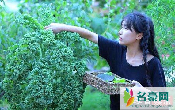 李子柒是不是有团队
