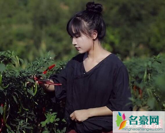 李子柒是不是有团队