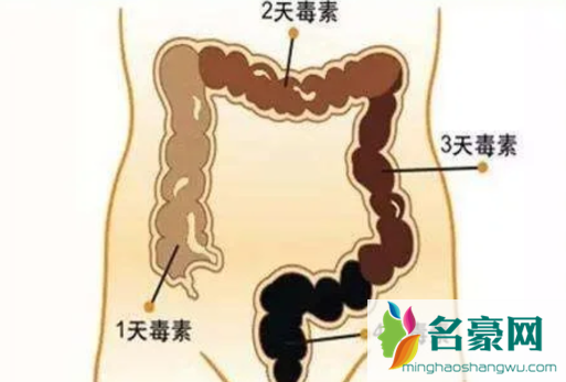 怎样看拉出来的是宿便3