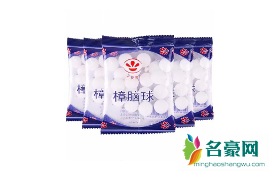 老鼠怕什么气味一闻就跑3
