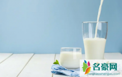 水牛奶和纯牛奶哪个营养价值高 牛奶怎么喝才有营