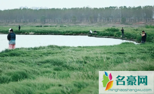 武汉府河湿地公园好玩吗1