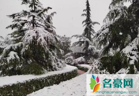 2023年哈尔滨1月份会下雪吗2