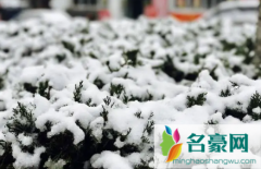 2022青岛冬天什么时候开始冷 冬天去青岛好玩吗