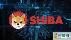 屎币有销毁机制吗？柴犬币/SHIB销毁机制介绍