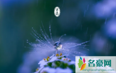 2022寒露到了是不是就冷了 寒露节气怎么养生