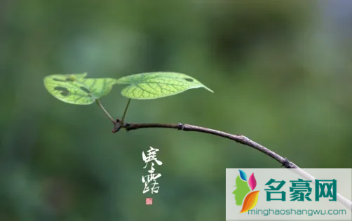 2022寒露过了是不是变冷了2