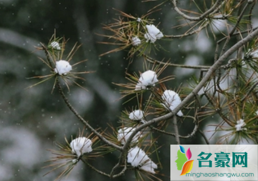 2022小雪节气一般什么温度3