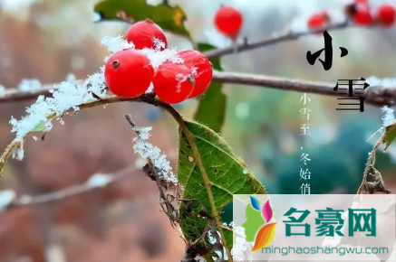 小雪节气是不是老人的一道坎3