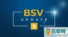 全面分析bsv币有价值吗？