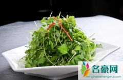 香菜冷冻后化开发黑能不能吃吗 香菜怎么放时间长