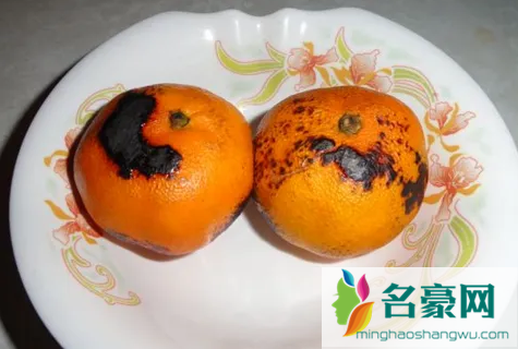 烤橘子治咳嗽一天吃几个3