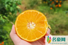 盐蒸橙子用什么橙子效果好 盐蒸橙子的功效与作用