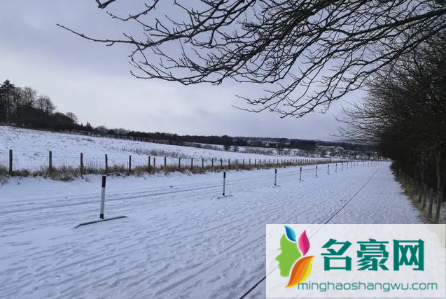 正月里下雪是好兆头吗3