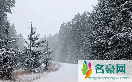 2023春节下雪是不是瑞雪3