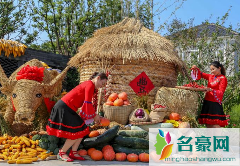 2023年兔年几龙治水几牛耕田3