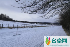 2023北海道冬天一直有雪吗 北海道适合几月份去