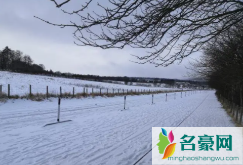2023北海道冬天一直有雪吗1
