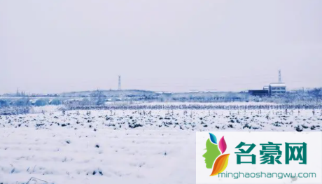 2023年1月上海会下雪吗3