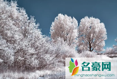 2023大雪节气下雨来年什么兆头1