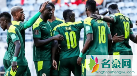 2022世界杯卡塔尔vs塞内加尔谁赢2