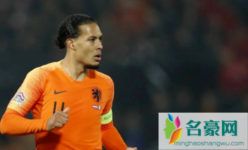 2022世界杯荷兰vs厄瓜多尔谁厉害3