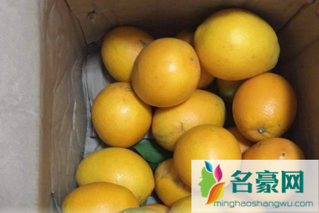 脐橙冬天可以放一个月不烂吗2