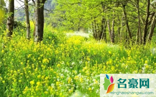 广东2023年是最冷的一年吗2