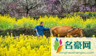 2023年打春是不是不能在床上躺着2