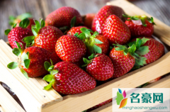 草莓是用保鲜膜盖住放的时间长还是不用盖放的长