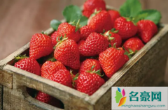 草莓放冰箱还是常温保存 草莓的保存注意事项