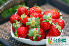 草莓摘下来可以放多久 吃草莓的禁忌