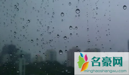 2023雨水节气下雨好还是不下雨好3
