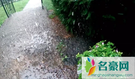 2023雨水节气下雨好还是不下雨好2
