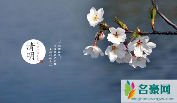 2023清明节有哪些生肖不能上坟2