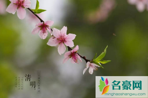 2023清明节有哪些生肖不能上坟3