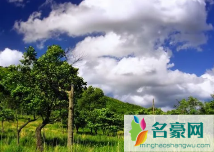 2023上海夏天几月份开始热3