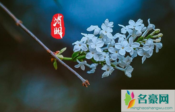 2023年清明节是几月几号星期几1