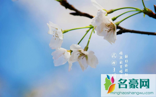 2023年3月还会有冷空气吗1