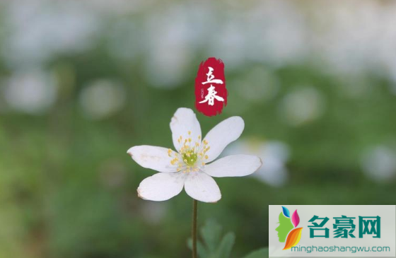 2023年立春是五九最后一天还是六九第一天2