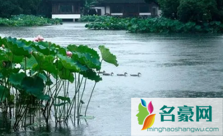 2023年梅雨季节是夏季吗1