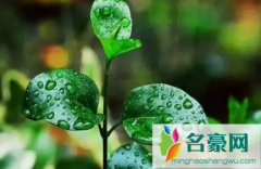 2023年梅雨季节是什么时间 南方的梅雨季节是几月份