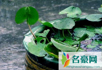 2023年梅雨季节是什么时间3