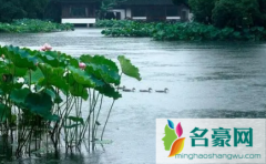 2023年浙江几月份是梅雨季节 梅雨季节如何防霉除湿