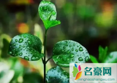 2023年长江中下游梅雨季节是几月份 梅雨季节怎么防